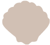 Clam Shell Clam Shell Colour